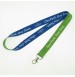 Lanyard